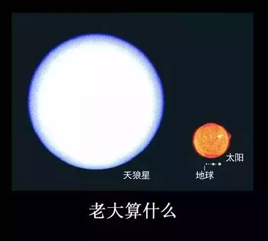 地球到底有多大，看完整个人都睡不着觉了！