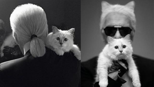 1550644629422403.jpg 1550644629422403.jpg