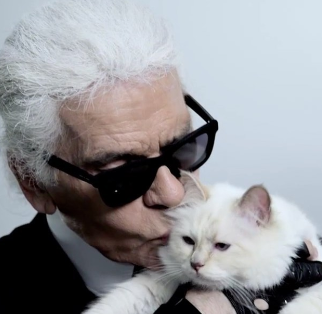 1550644797670392.png 1550644797670392.png