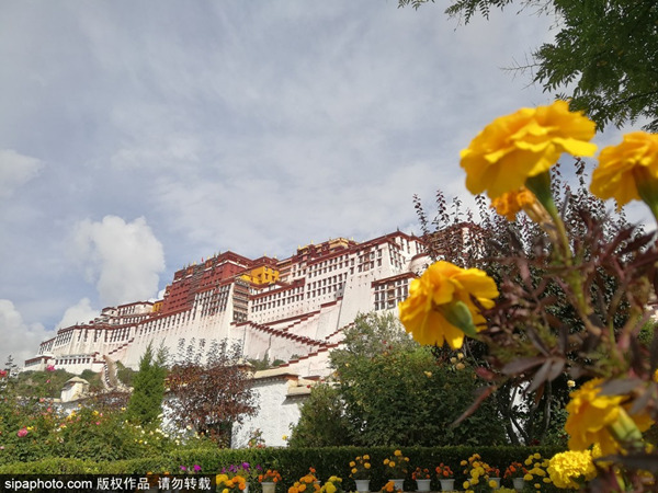 冬游西藏,布达拉宫持续5个月免费参观