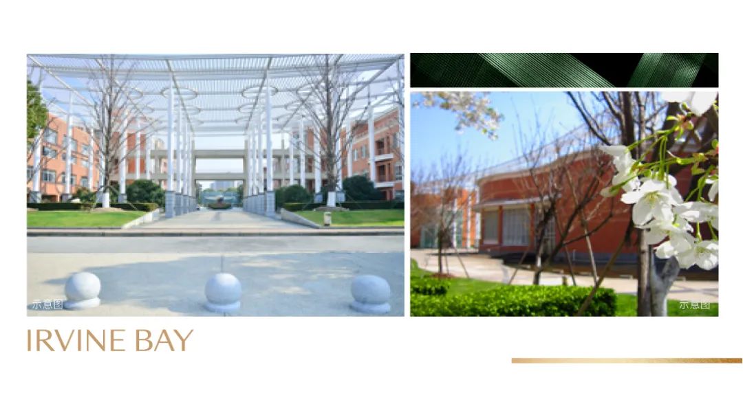 华师大教育系统 | 沪上四大名校之一，你了解多少