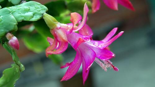 人生感悟的文章精选5篇